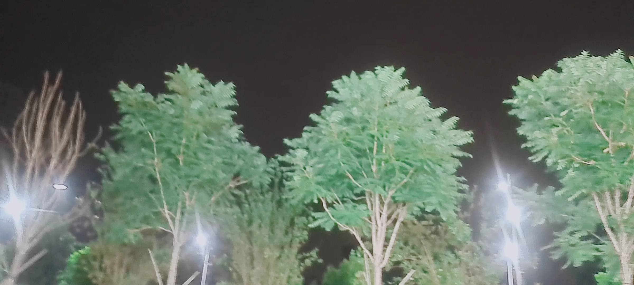 小月