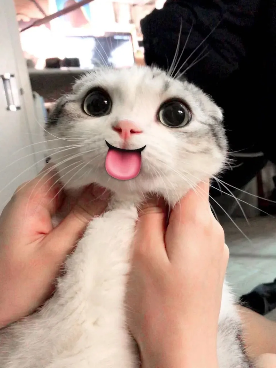 头像